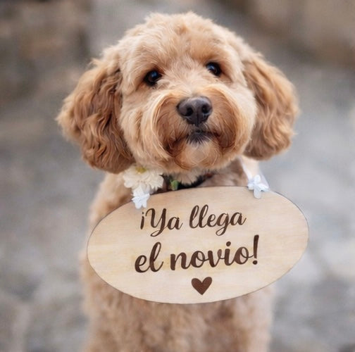 Cartel de madera para boda con frases divertidas – Cuelgue para niños o perros